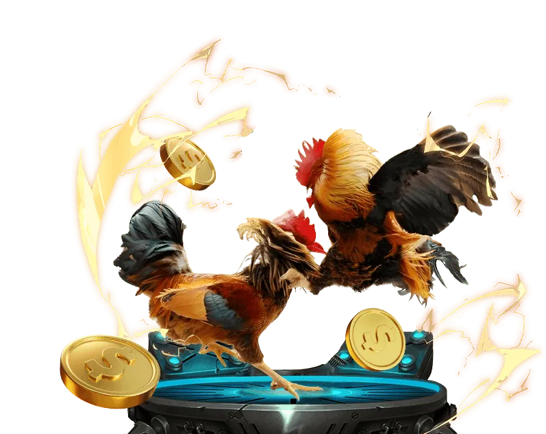 Tổng quan về đá gà trực tuyến Cwin